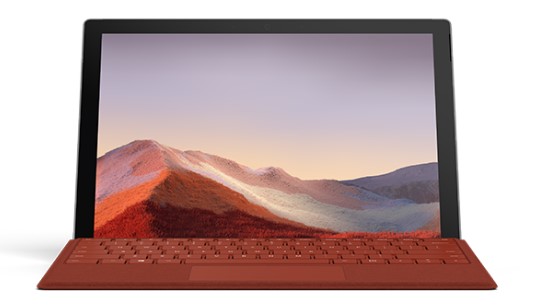 章贡清洁和维护 Surface